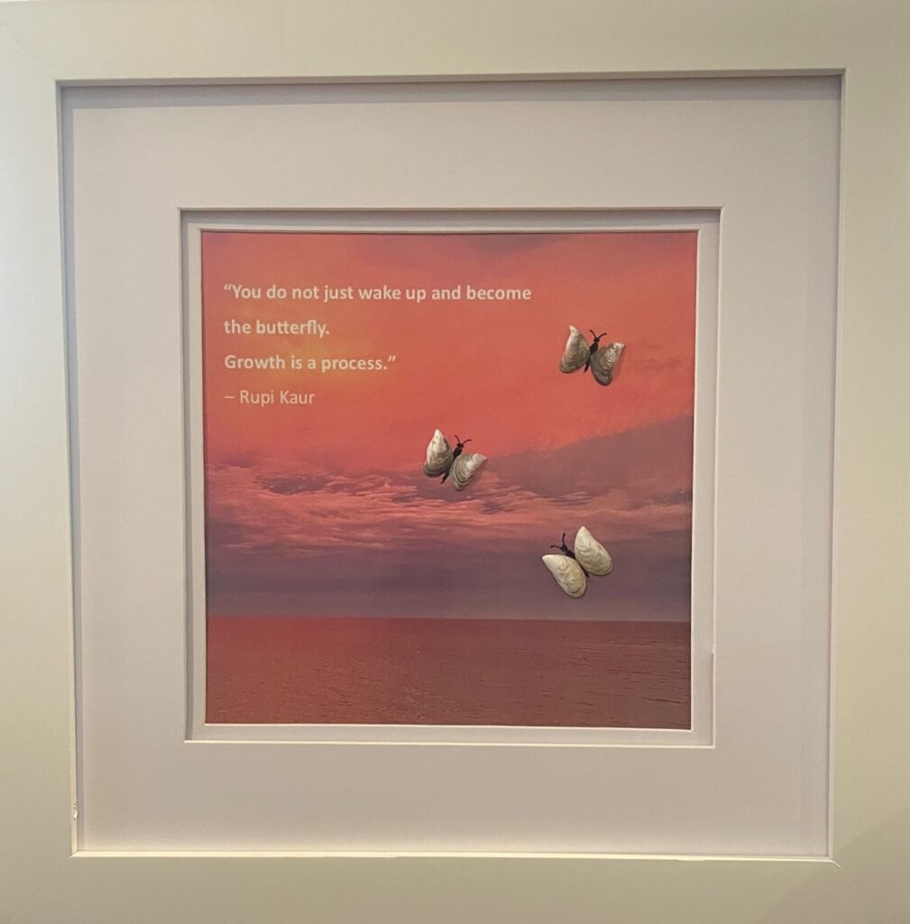 Framed image of a sunset reflecting on the water, with three butterflies made from shells and this quote: You do not just wake up and become the butterfly. Growth is a process.