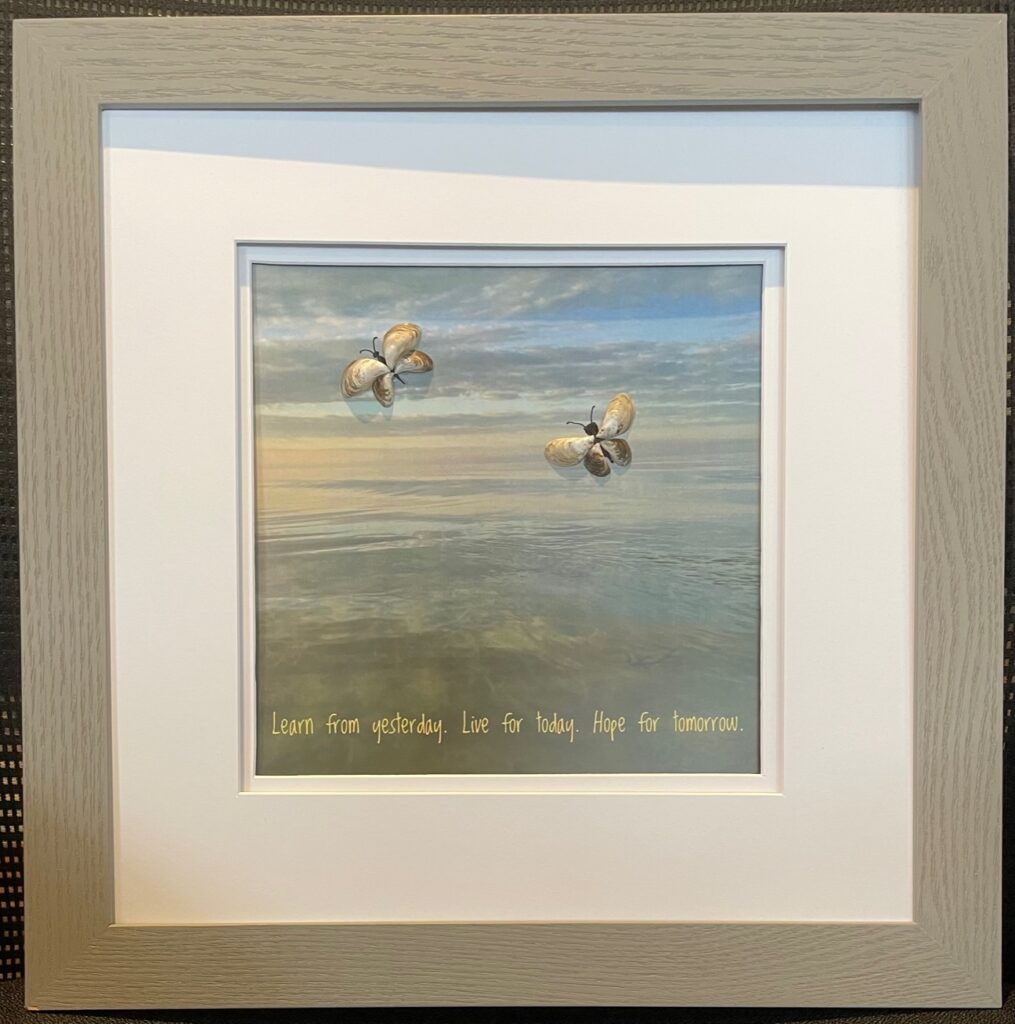 A framed image of a sunrise reflecting on the water, with two butterflies made of shells and this quote: Learn from yesterday. Live for today. Hope for tomorrow.