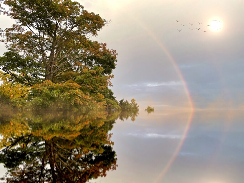 Photo of trees and a rainbow reflected on a lake.